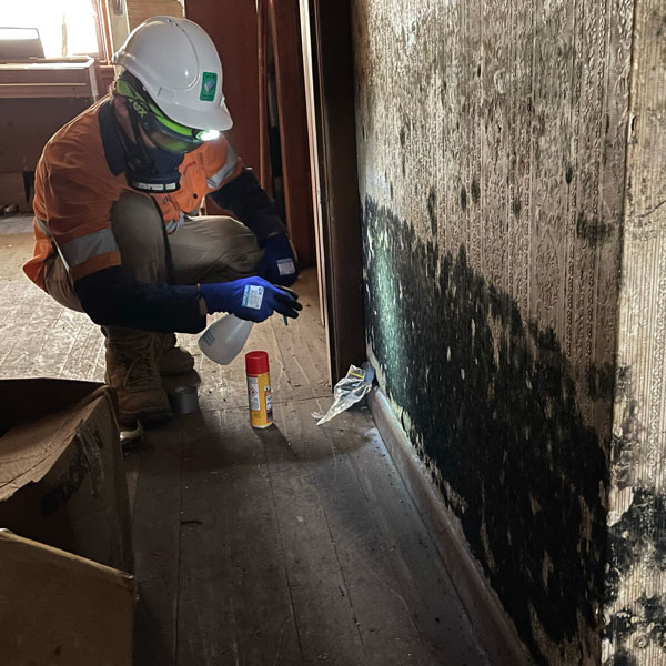 WARES Asbestos services include mould assessments.